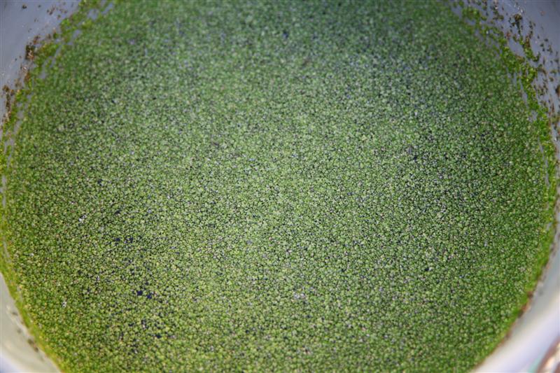 IMG_6344 (Custom).JPG