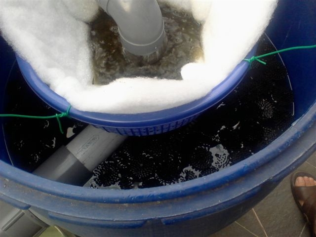 Photo-0014 small.JPG