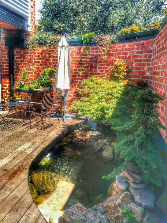 backyard nearly done.jpg