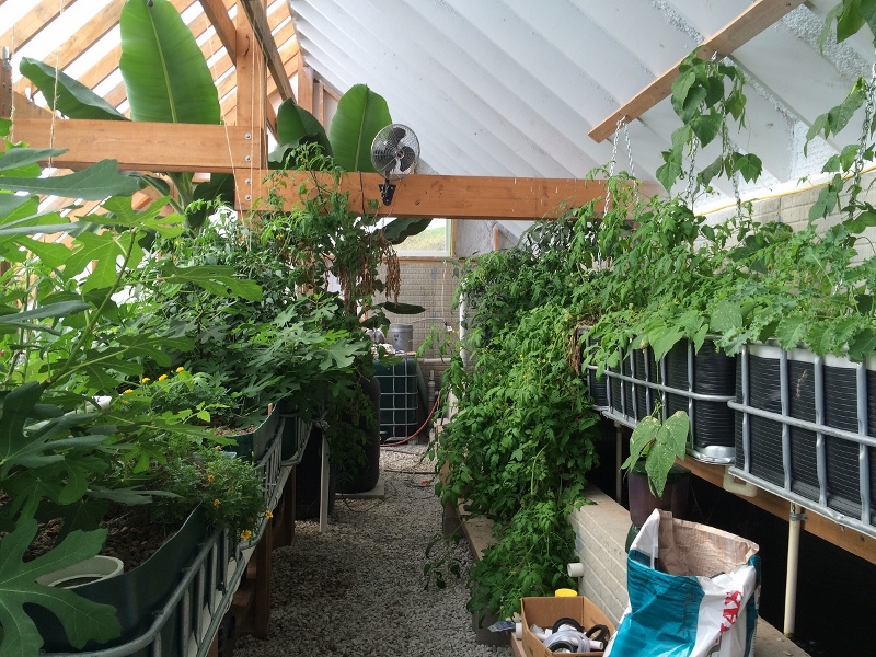 GH103114_1 (800x600).jpg