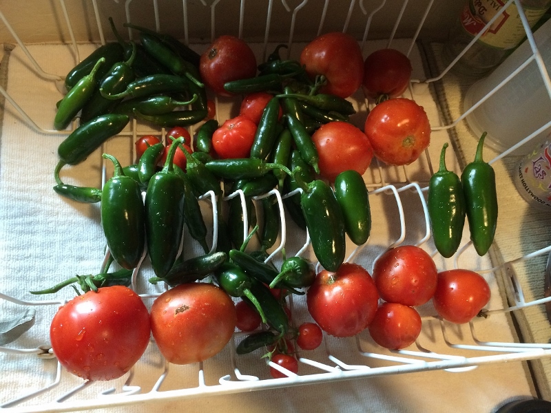 GH103114_7 (800x600).jpg