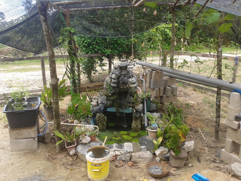 2014-11-01 09.37.29.jpg