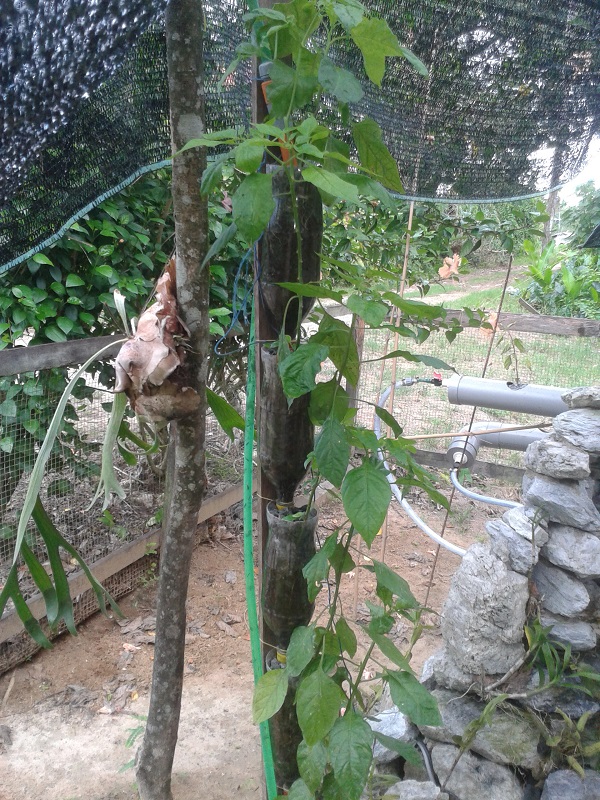 2014-11-01 09.38.05.jpg