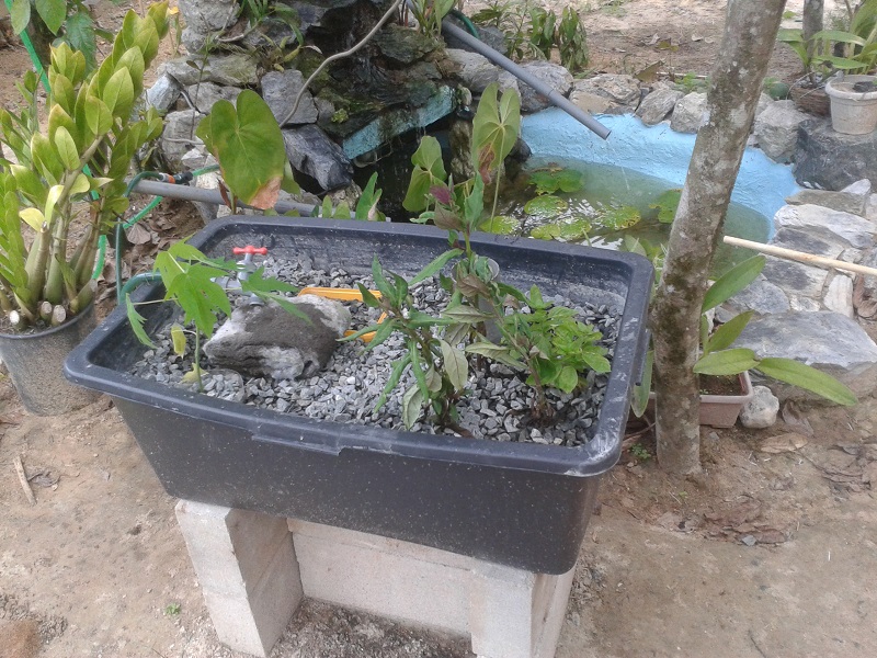 2014-11-01 09.38.17.jpg