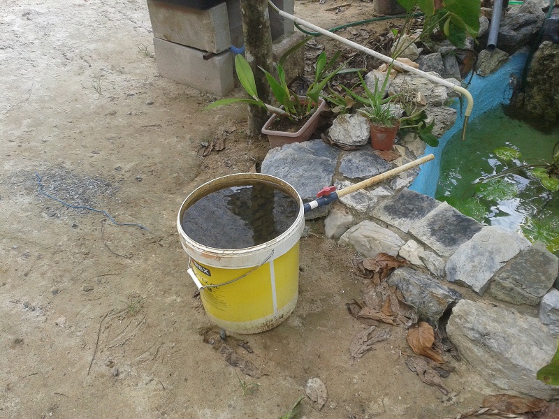 2014-11-01 09.38.29.jpg