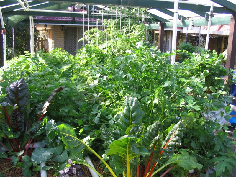 IMG_1798 (Medium).jpg