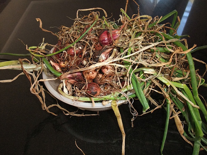 Pickled onions pulled.jpg