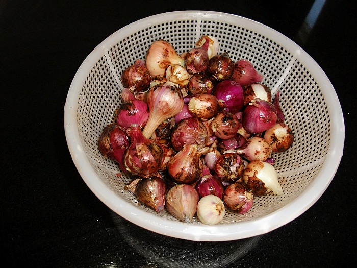 Pickled onions cleaned up.jpg