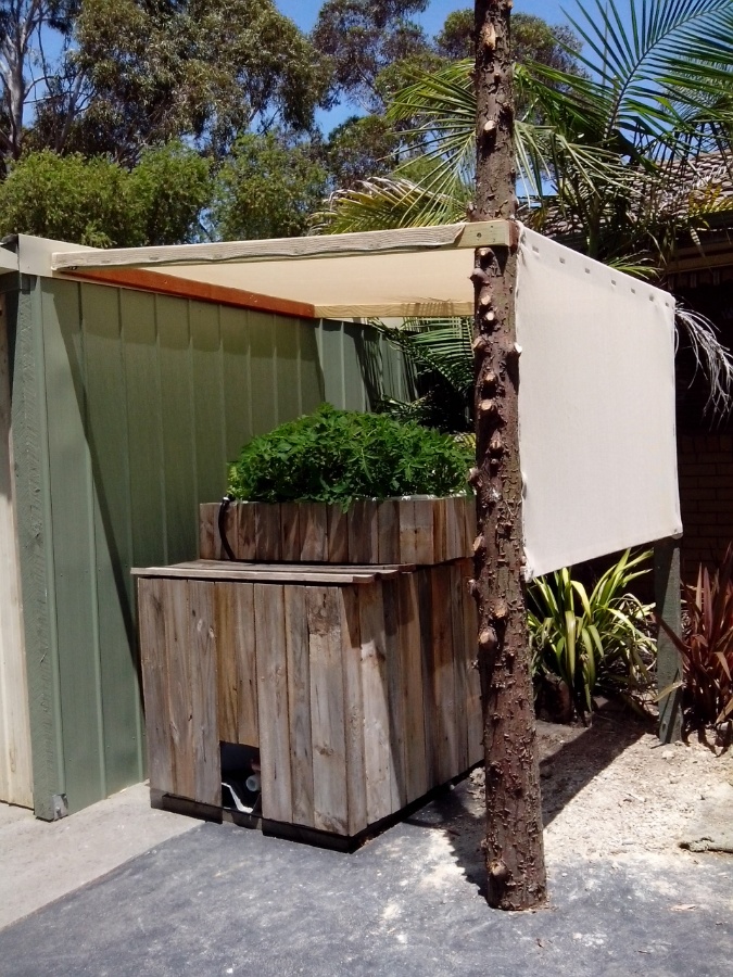 Aquaponics system 1.jpg