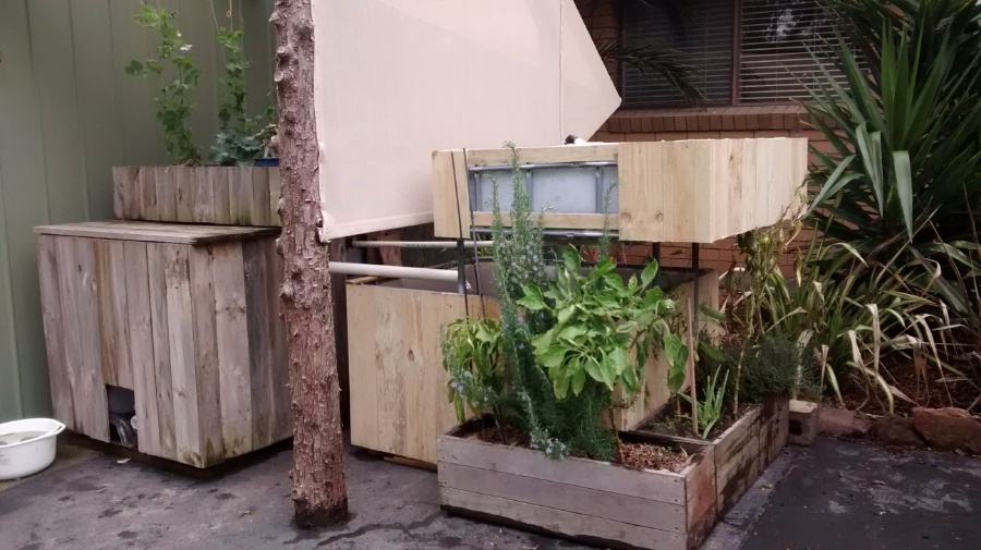 aquaponics system.jpg
