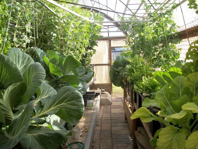 100_0409 (Small) - Copy.JPG