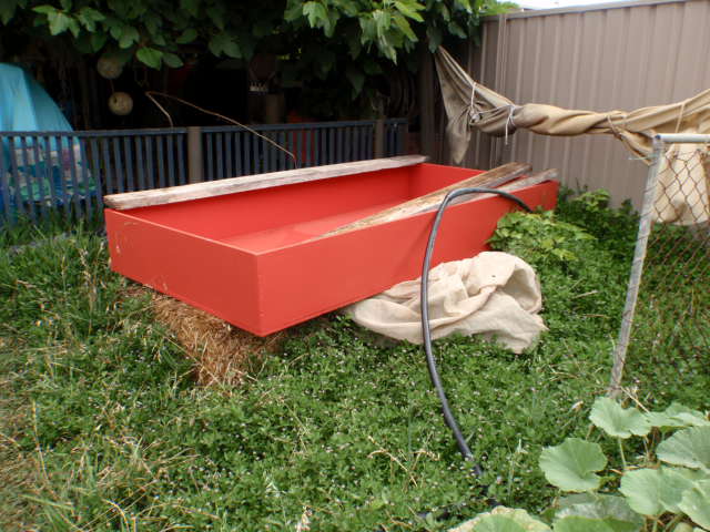 Big red grow bed.JPG