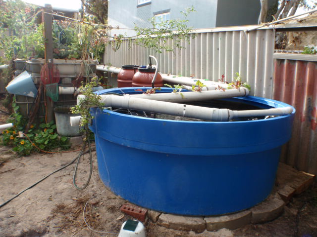 NFT back on line.JPG