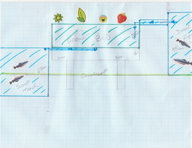 Aqaponics 001 (640x493).jpg