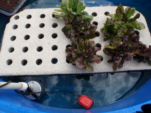 Submersible pump.JPG