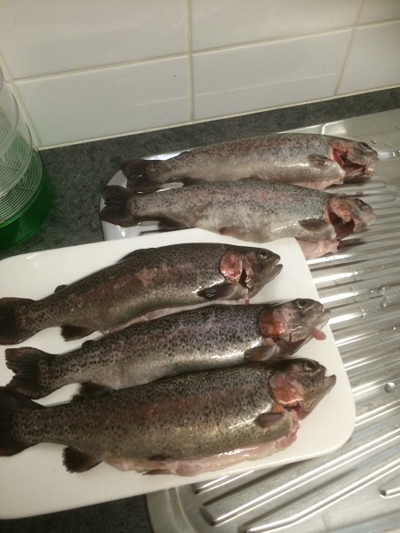 IMG_1546 resized.jpg