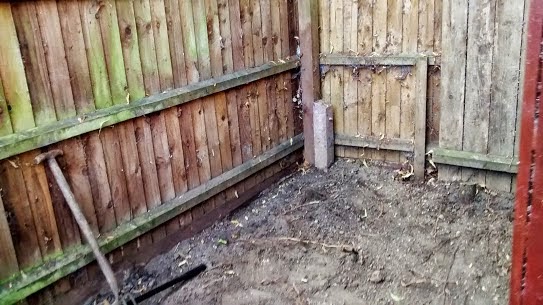 aquaponics (3) (1).jpg