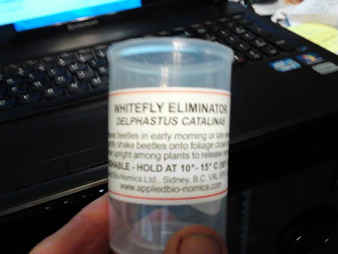 whitefly killers 11-20.jpg