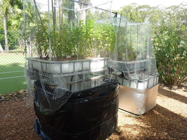 Aquaponics2 (Small).jpg