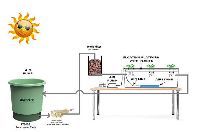 rsz_aquaponics_set_up_dwc.png