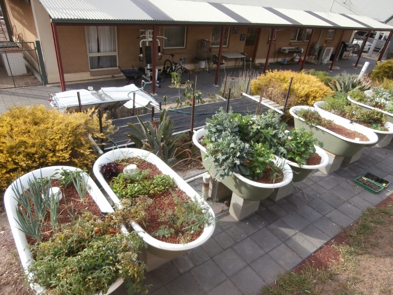 P4120033 (800x600).jpg