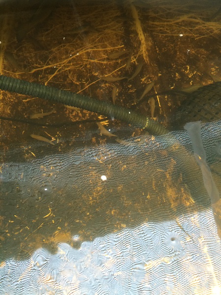 IMG_1768 resized.jpg