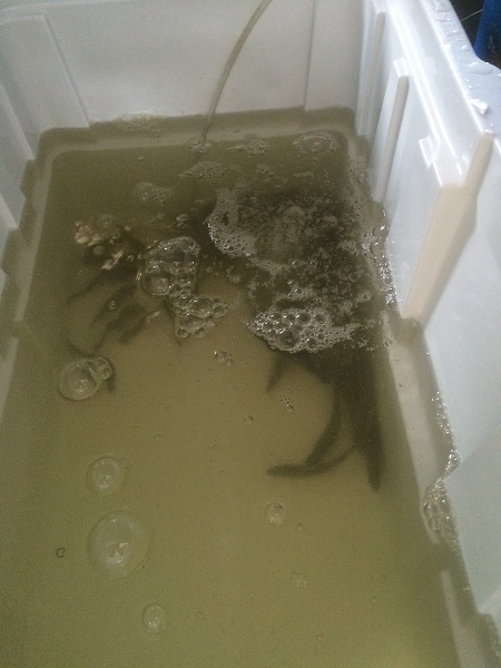 IMG_1766 resized.jpg