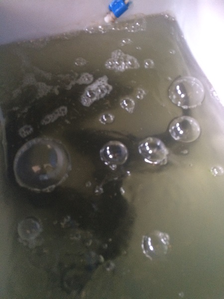 IMG_1765 resized.jpg