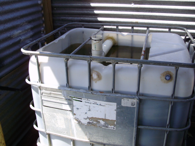 17. FINGERLING TANK 06-12-2014.JPG