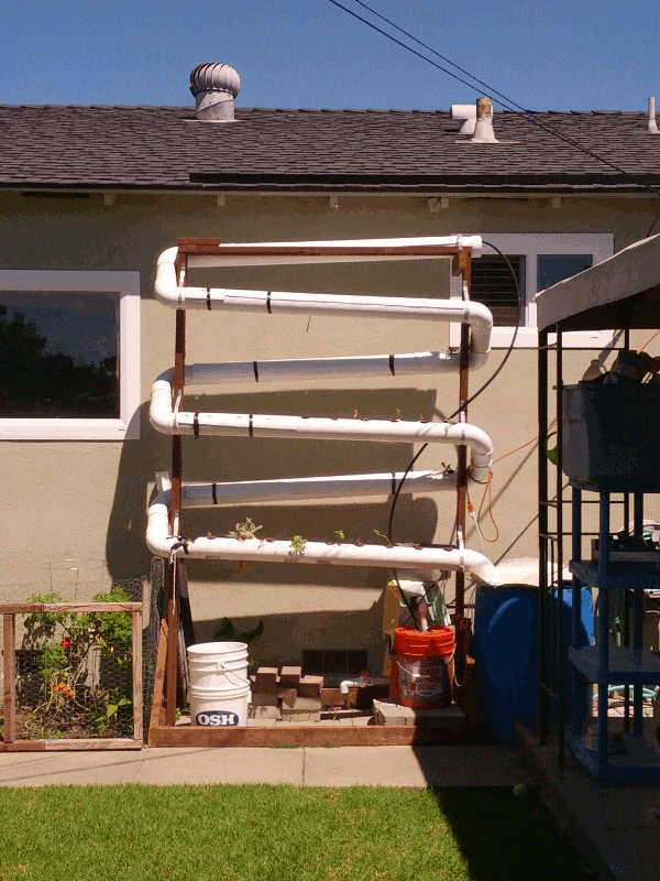 small A-Fish Farm II.gif