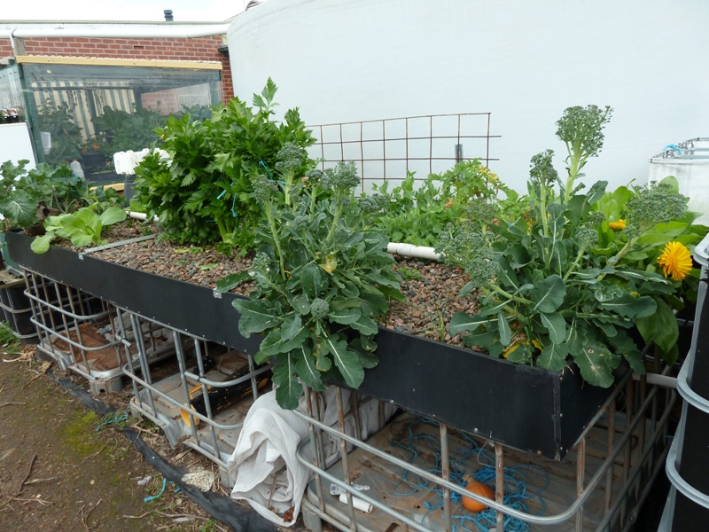 29 july 14 System 2.jpg