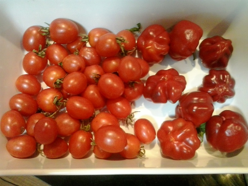 2014-12-15 17.38.05.jpg