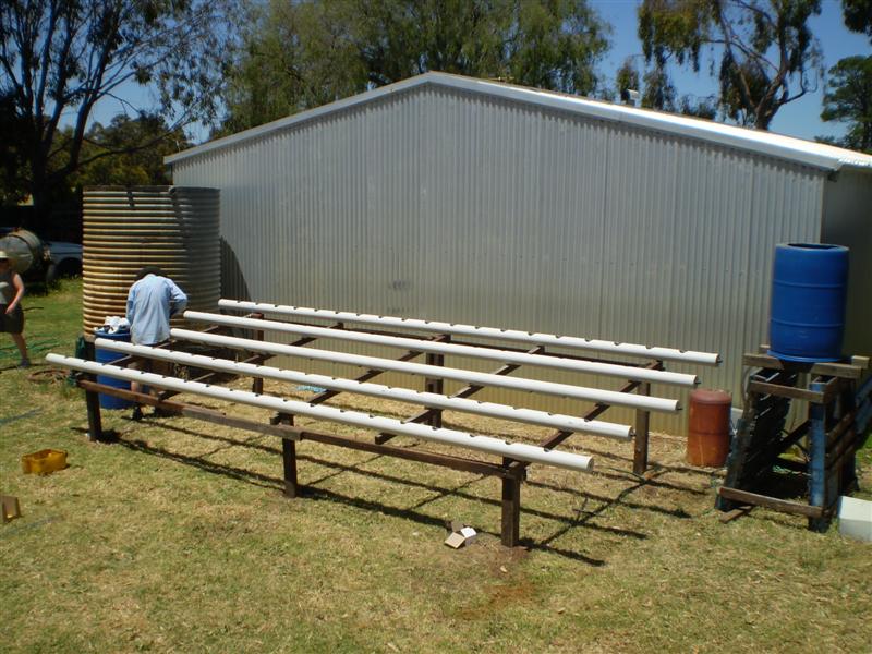 P1030028 (Medium).JPG