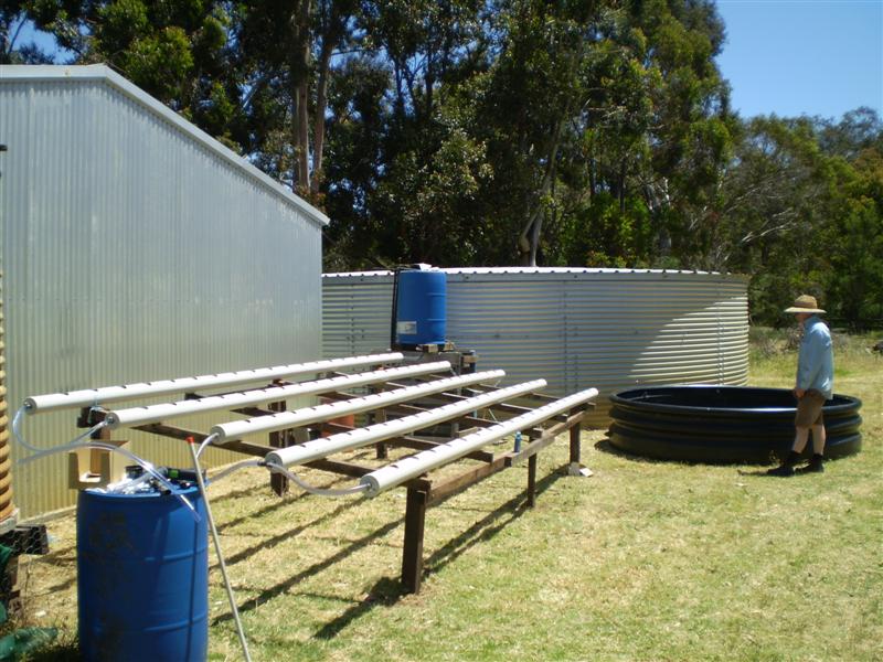 P1030030 (Medium).JPG