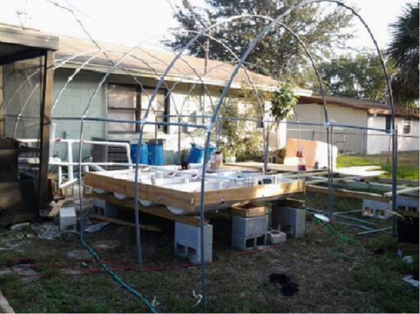 Greenh.jpg