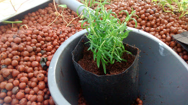 IMG_20141214_144242806 (1).jpg