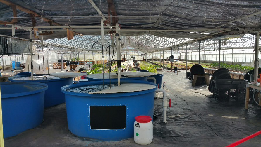 tmp_24761-2014-12-27 22.53.011870838964.jpg