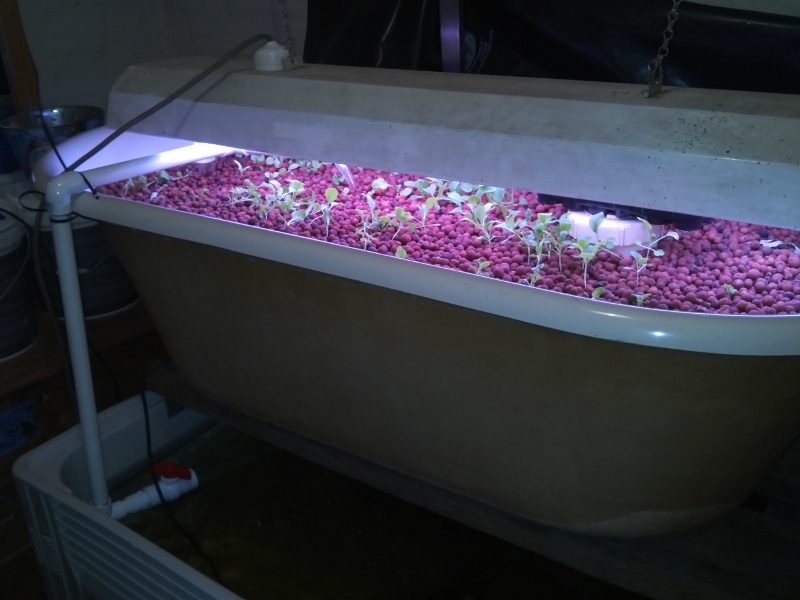 IMG_20141229_225336 (800x600).jpg