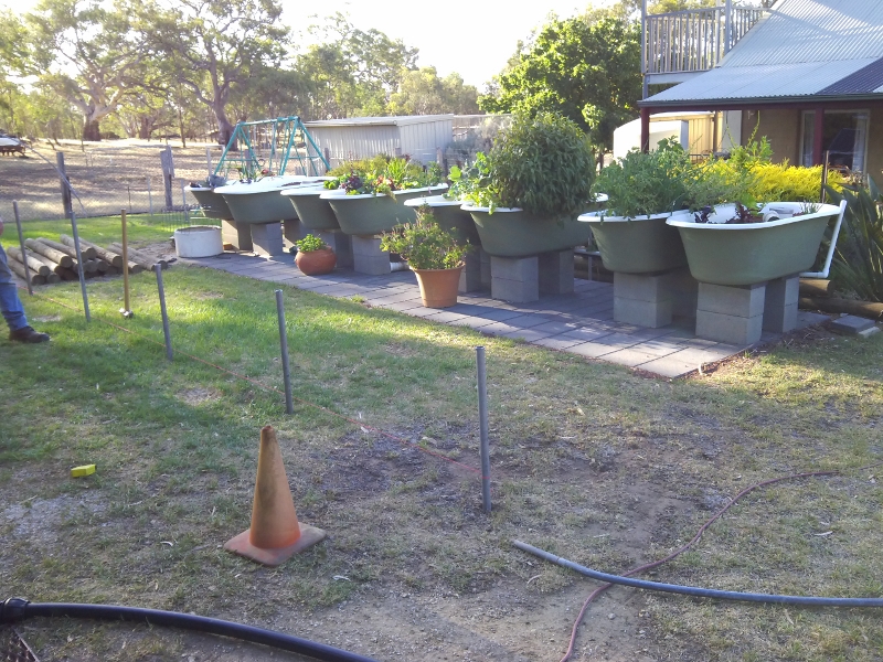 IMG_20141229_184727 (800x600).jpg