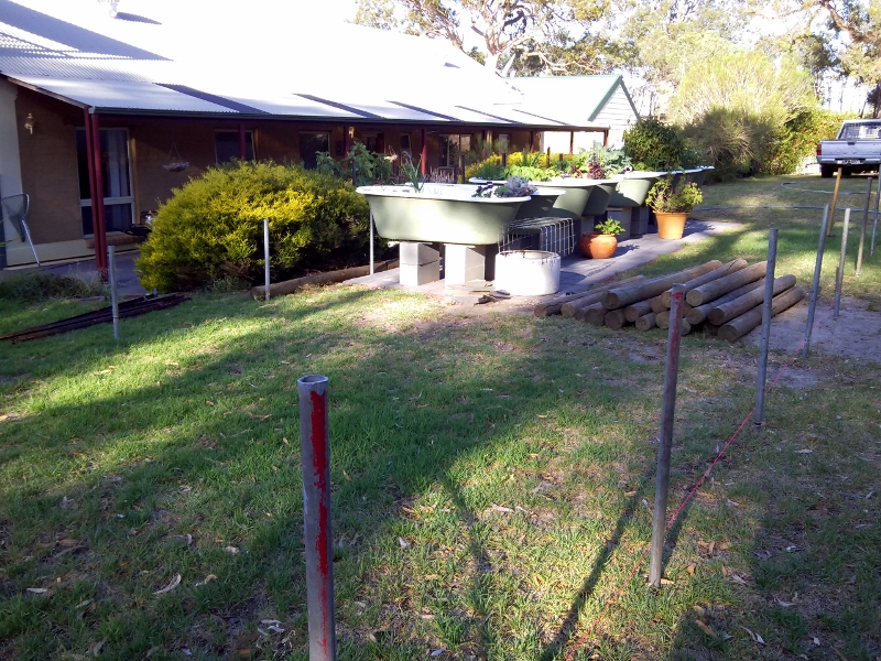 IMG_20141229_184518 (800x600).jpg