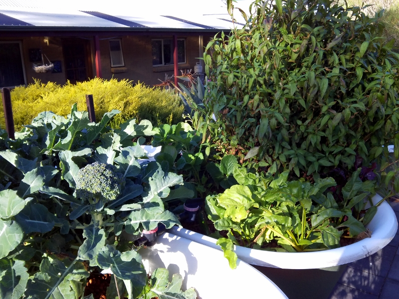 IMG_20141229_184637 (800x600).jpg