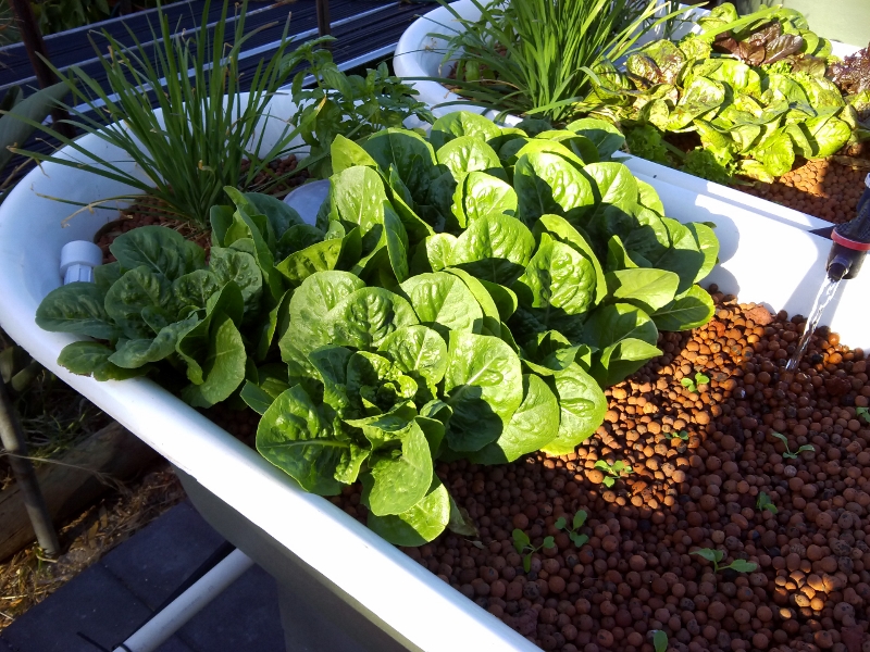 IMG_20141229_184553 (800x600).jpg