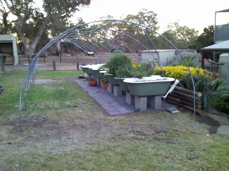 IMG_20141230_202217 (800x600).jpg