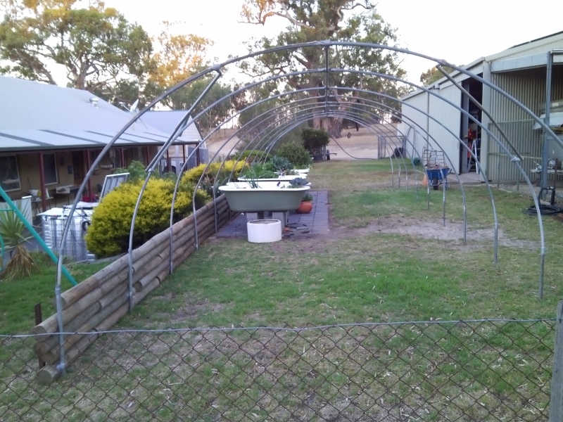 IMG_20141230_202350 (800x600).jpg