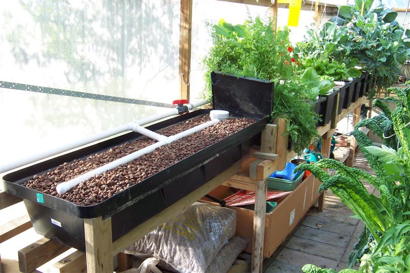 New grow bed (Medium).jpg