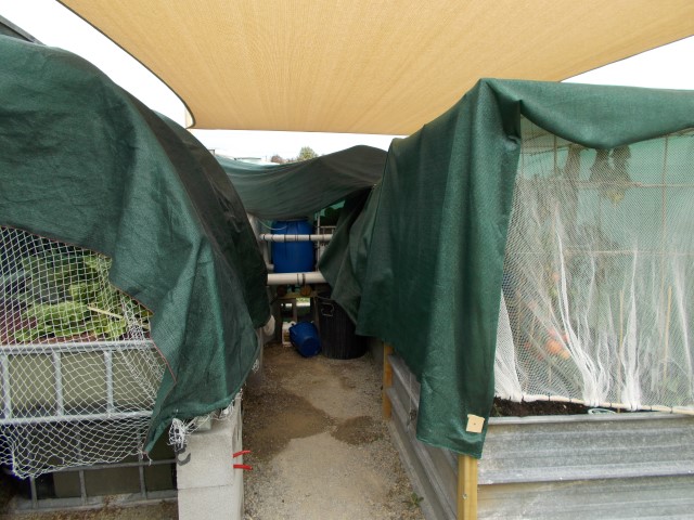 DSCN0278 (Small).JPG