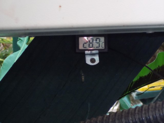 DSCN0279 (Small).JPG