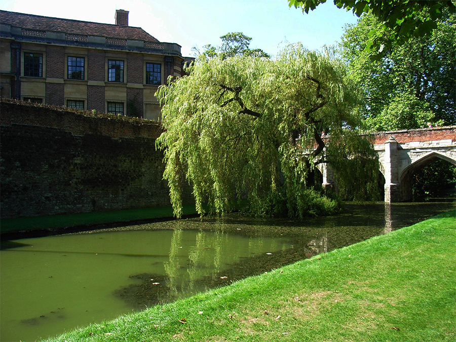 eltham_palace.jpg