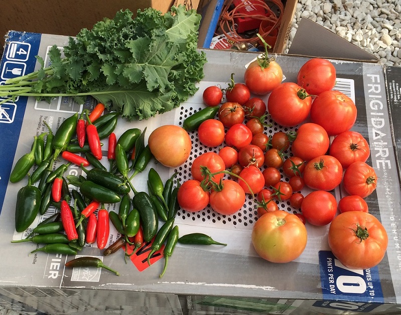 New Year Harvest.jpg