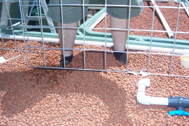 seemed like a good idea at the time.jpg